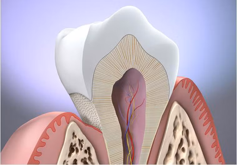 Về sự tàn phá sức khỏe dữ dội của ung thư lưỡi, các chuyên gia đến từ Viện Ung thư Mỹ cho rằng ung thư lưỡi còn khiến hàm răng trở nên lỏng lẻo. Đặc biệt, khi bệnh tấn công vào vùng nướu xung quanh răng.