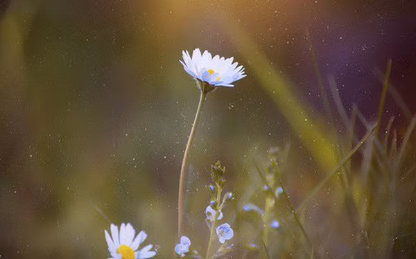 Trong 5 năm tiếp theo những người sinh tháng này âm lịch sẽ có thê mở rông các mối quan hệ dễ dàng thành công. Nhờ đó, họ gặp được quý nhân và được trợ giúp vượt qua khó khăn dễ dàng hơn, sự nghiệp phát triển ngày càng nhanh chóng.