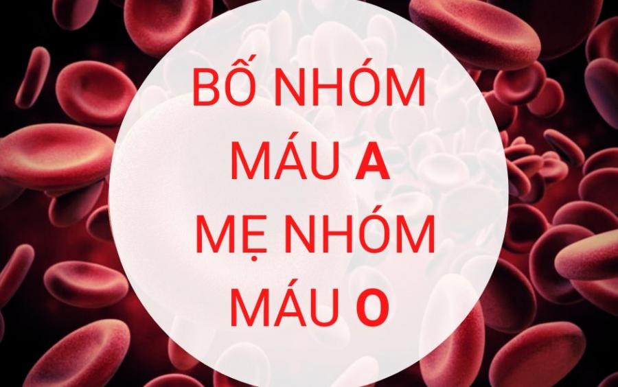 Bo me thuoc nhom mau nay: Con sinh ra IQ cao vuot troi