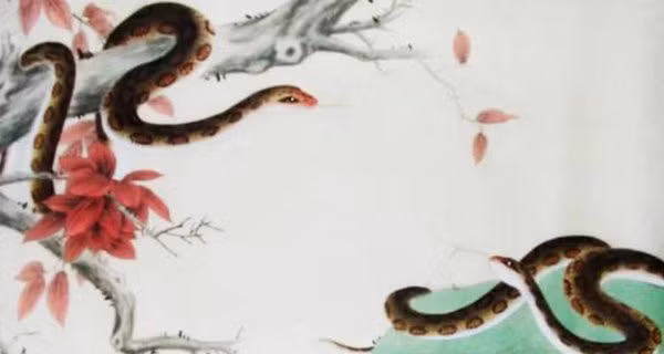 Ghen no mat 3 con giap de trung doc dac, om tien ty 10 ngay toi