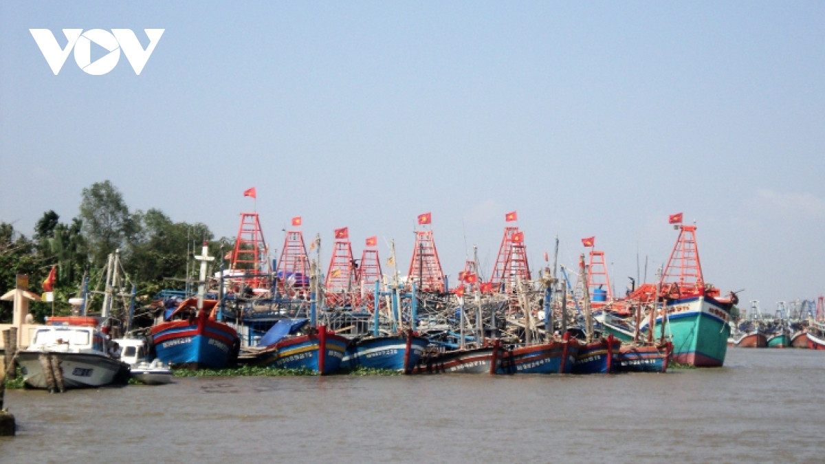 Hon 900 tau ca nam bo vi chi phi ra khoi doi gap doi