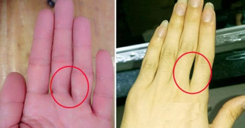 Vận may về tài lộc: Vận may về tiền bạc nhẹ nhàng, suôn sẻ, tuy không có niềm vui lớn nhưng có thể an nhàn cả đời. Bạn là người hiền lành và tốt bụng, tràn đầy tình yêu thương, theo đuổi sự hoàn hảo, cực kỳ ghét cái xấu và bạn có thể vị tha giúp đỡ những người gặp nạn, không tiếc công sức để giúp đỡ người khác!