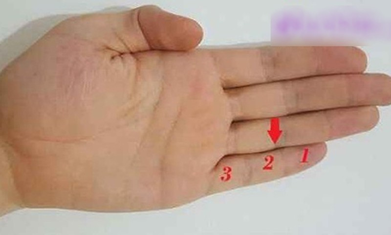 Giàu có: Bạn là người tích cực, cầu tiến, kiếm tiền rất giỏi, bất kể môi trường thay đổi thế nào thì bạn cũng sẽ có một sức sống mãnh liệt để thích nghi với những thay đổi và chiến thắng.