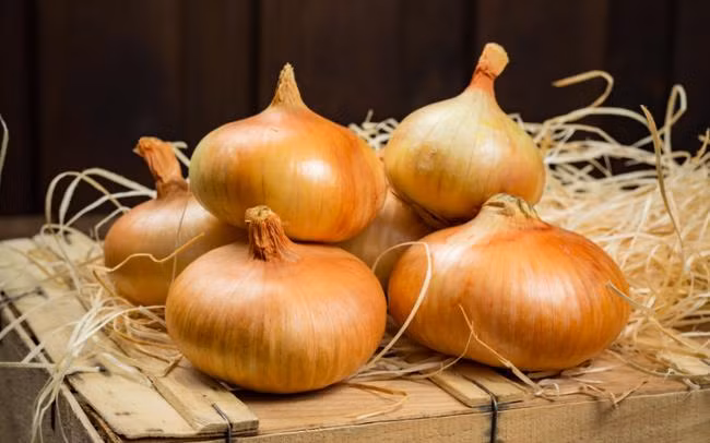 Mua hanh tay chon vo tim, vo trang hay vo vang?-Hinh-2