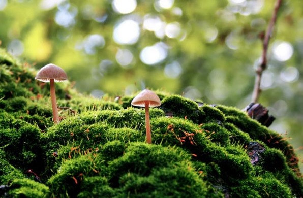 Với những suy nghĩ khoáng đạt, đầu óc nhanh nhạy, người sinh hai ngày Âm lịch này còn luôn đưa ra những góc nhìn toàn cảnh, những ý kiến hay để giúp bạn bè giải quyết rắc rối.