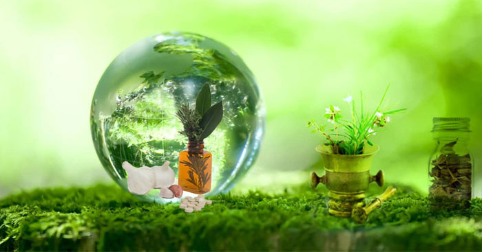 Người sinh ngày Âm lịch này cũng không quan tâm quá nhiều đến quyền lợi và tiền bạc. Vì vậy họ sẽ rất nổi tiếng, được nhiều người yêu quý. Họ cũng sẽ làm tốt công việc của mình, duy trì sự nghiệp vững vàng, kiên trì với mục tiêu đã định.