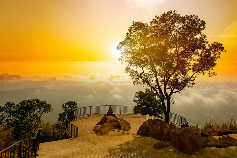 Vì luôn nhân hậu nên trên đường đời, người sinh ngày 9 và 14 Âm lịch luôn nhận được sự trợ giúp của các quý nhân. Nhờ đó, họ làm ăn phát đạt, tích lũy ngày càng nhiều, tiền tài vượng phát, cuộc sống tốt đẹp.