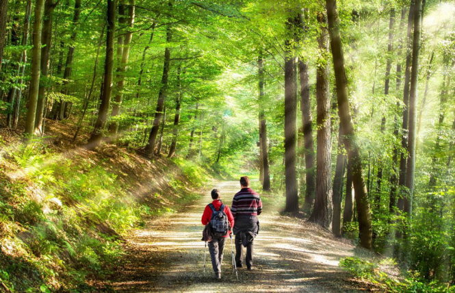 Những người này dù làm ngành nghề gì cũng sẽ luôn tuân thủ quy tắc mà mình đặt ra, không làm ăn gian dối. Họ luôn nỗ lực cải thiện năng lực và tương lai của họ cũng dần tốt đẹp hơn.