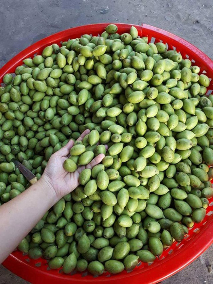 Đây là thứ quả dân dã, mộc mạc được thiên nhiên ban tặng cho người dân nơi đây