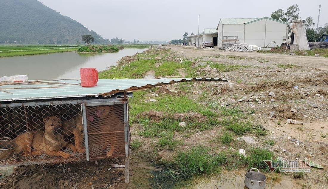 Cao toc Bac Nam dung truoc nguy co cham tien do vi thi cong cam chung-Hinh-4