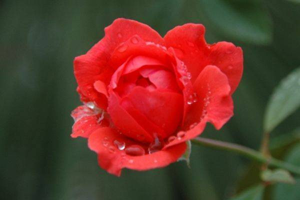 Người sinh vào 6 ngày Âm lịch này, được lộc Thần Tài, chẳng lo nghèo Nguoi sinh vao 6 ngay Am lich nay, duoc loc Than Tai, chang lo ngheo