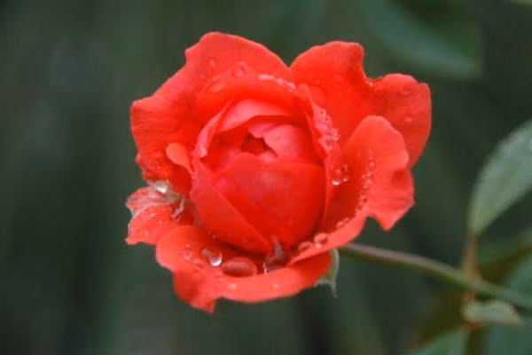 Nguoi sinh vao 6 ngay Am lich nay, duoc loc Than Tai, chang lo ngheo