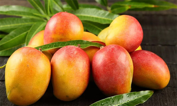 Chuyên gia nói gì về chế độ ăn toàn trái cây trong 3 năm? - Hình 2 Chuyen gia noi gi ve che do an toan trai cay trong 3 nam?-Hinh-2