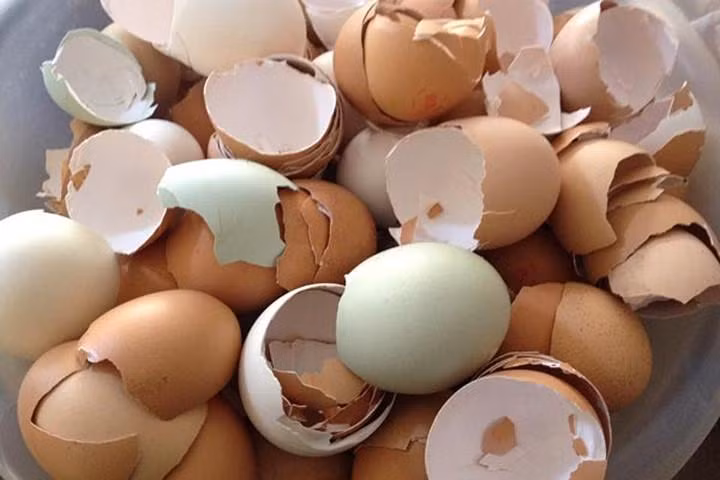 Lam sach can ban o am sieu toc voi nhung thu san trong nha bep-Hinh-2