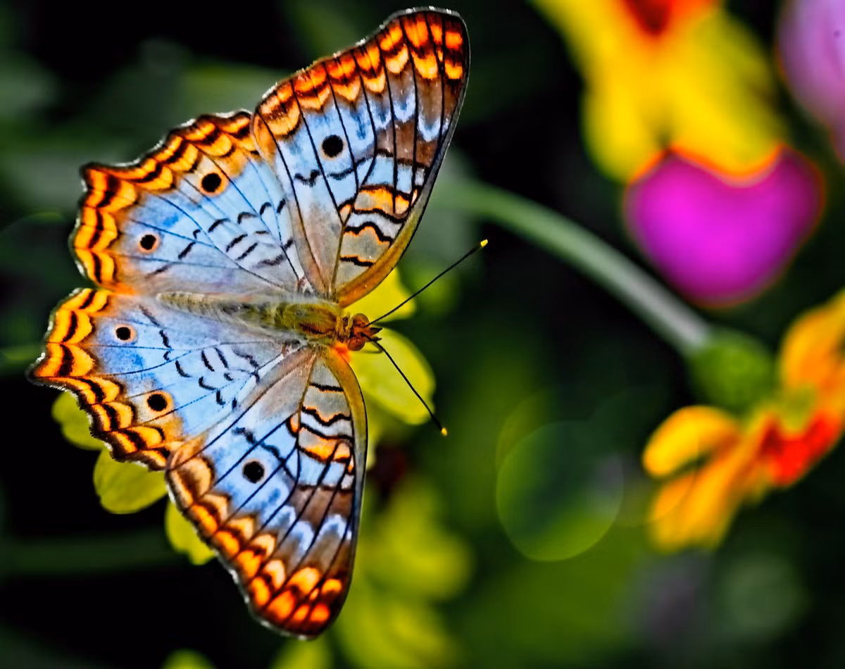 Thang 7, 3 con giap chuyen van tot lanh, tinh tien deu vien man-Hinh-3