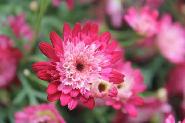 Nguoi sinh ngay Am lich nay, tinh tinh gian di, ve gia huong loc