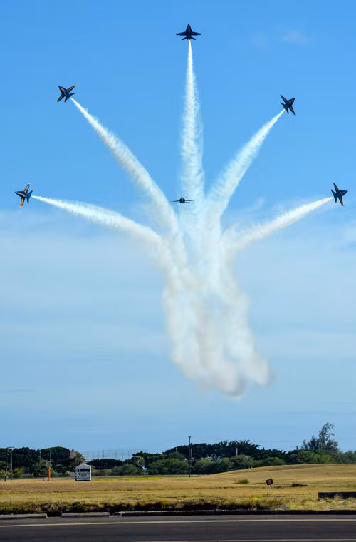 Như cùng bay ra từ một tổ.