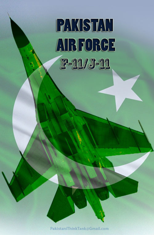Về tên gọi, dân mạng Pakistan gọi mẫu J-11 “xuất khẩu” cho Pakistan là F-11. Thông thường, các máy bay tiêm kích họ J của Trung Quốc xuất khẩu ra nước ngoài đều được định danh là F-X (số).