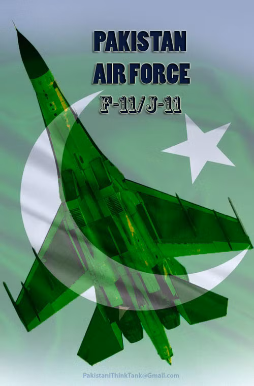 Về tên gọi, dân mạng Pakistan gọi mẫu J-11 “xuất khẩu” cho Pakistan là F-11. Thông thường, các máy bay tiêm kích họ J của Trung Quốc xuất khẩu ra nước ngoài đều được định danh là F-X (số).