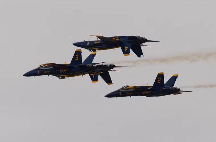 Các máy bay đều dùng màu sơn xanh – vàng.