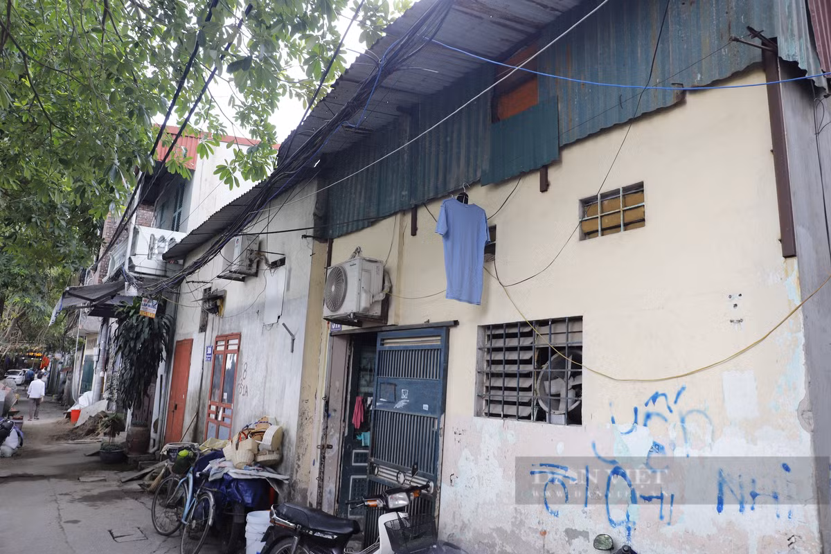 Các hộ dân sống sâu trong ngõ, ngách ở phố Thái Hà, Láng Hạ, Hoàng Cầu dù thuộc diện tích đất dự án Công viên văn hoá Đống Đa nhưng đều được đánh số nhà.