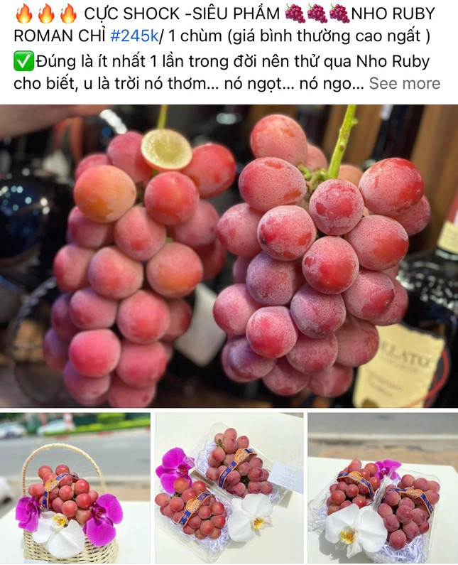 Hoa qua Trung Quoc ngap cho Ha Noi, co loai xung danh dat nhat the gioi-Hinh-3