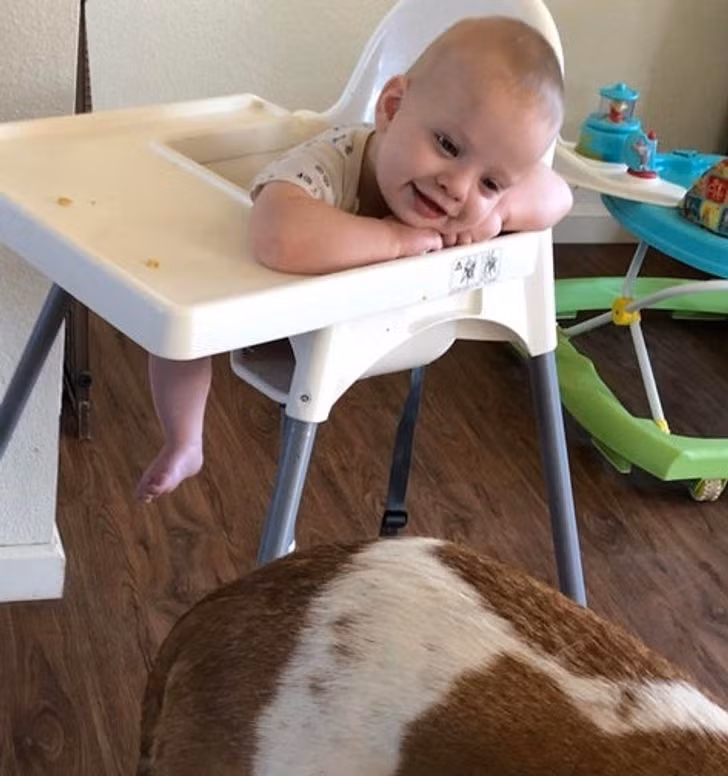 Em bé vui vẻ khi thấy chú chó của mình.