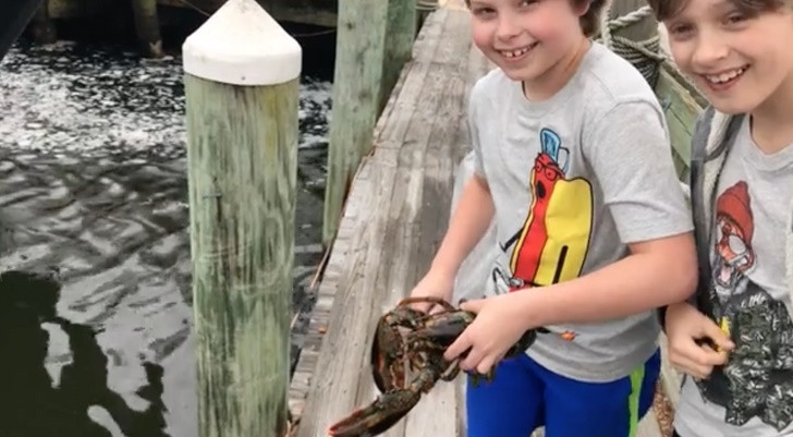 Hai cậu bé ra chợ, mua một con tôm hùm bằng tiền của mình và thả nó ra biển. Diệu Bình(Brightside)