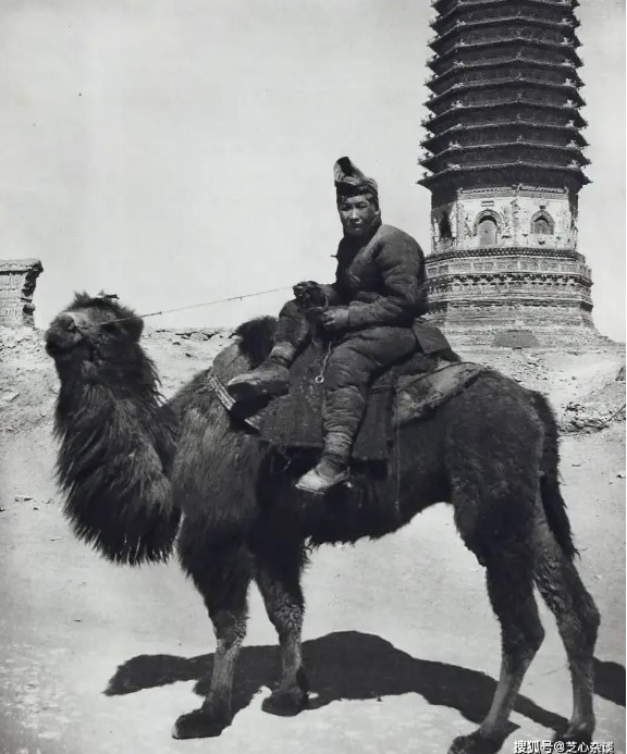 Ở Bắc Kinh hơn 90 năm trước, số lượng ô tô không nhiều. Trên đường phố, người ta vẫn có thể thấy cảnh tượng các đoàn thương nhân dùng lạc đà vận chuyển hàng hóa. Lạc đà là phương tiện vận chuyển phổ biến nhất thời bấy giờ.