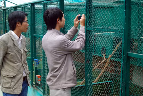 Trang trại cà phê chồn (rộng 2,4 ha) đầu tiên ở ở khu Trại Hầm, P.10, TP.Đà Lạt được ông Nguyễn Quốc Minh (TP.HCM) đầu tư hơn 42 tỉ đồng để lập nên sau nhiều năm nghiên cứu, tìm hiểu và mua lại vườn cà phê moka đang thời kỳ cho thu hoạch của người dân ở đây.