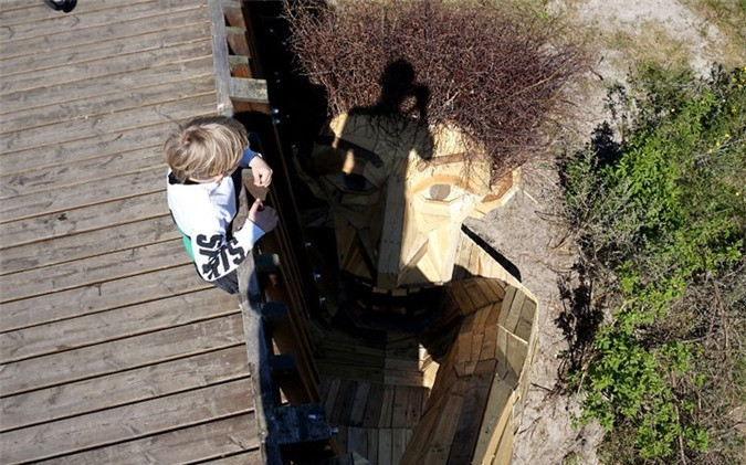 ##sc### Bất cứ ai đi qua cầu cũng có thể ngó xuống chảo hỏi "Oscar tóc xù". 