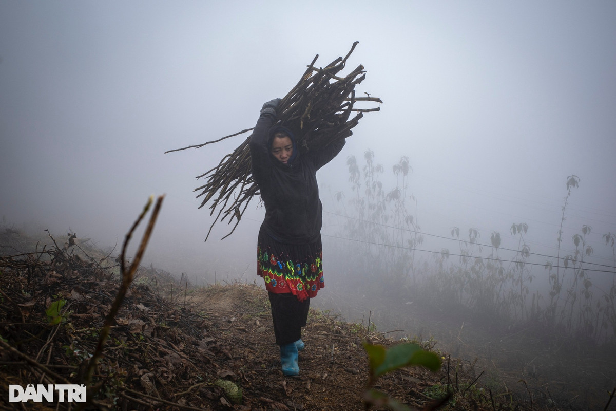 Củi khô không thể thiếu đối với người dân nơi đây để đối phó với rét đậm, rét hại. Dù trong mỗi gia đình còn nhiều củi dự trữ, nhưng hàng ngày người dân vẫn chủ động đi nhặt thêm củi để dự phòng đợt rét kéo dài.