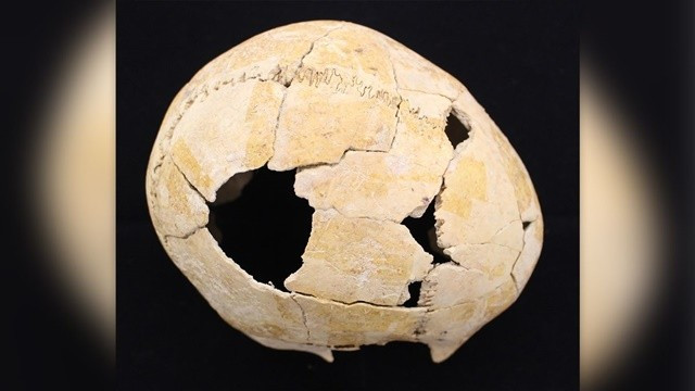 Phat hien mo tap the 5.000 nam tuoi, lo bi mat rung minh-Hinh-2