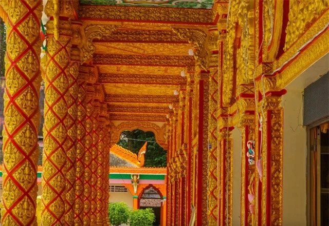 Loạt cây trăm tuổi tại ngôi chùa ‘độc nhất vô nhị’ tại Việt Nam - Hình 3 Loat cay tram tuoi tai ngoi chua ‘doc nhat vo nhi’ tai Viet Nam-Hinh-3