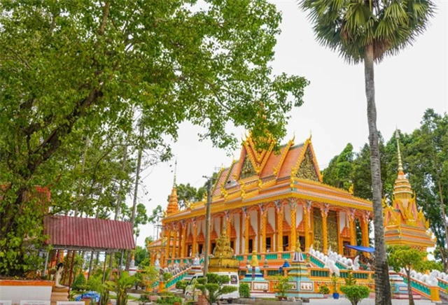 Loạt cây trăm tuổi tại ngôi chùa ‘độc nhất vô nhị’ tại Việt Nam - Hình 5 Loat cay tram tuoi tai ngoi chua ‘doc nhat vo nhi’ tai Viet Nam-Hinh-5