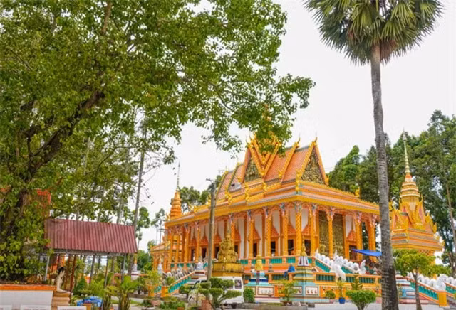 Loat cay tram tuoi tai ngoi chua ‘doc nhat vo nhi’ tai Viet Nam-Hinh-5