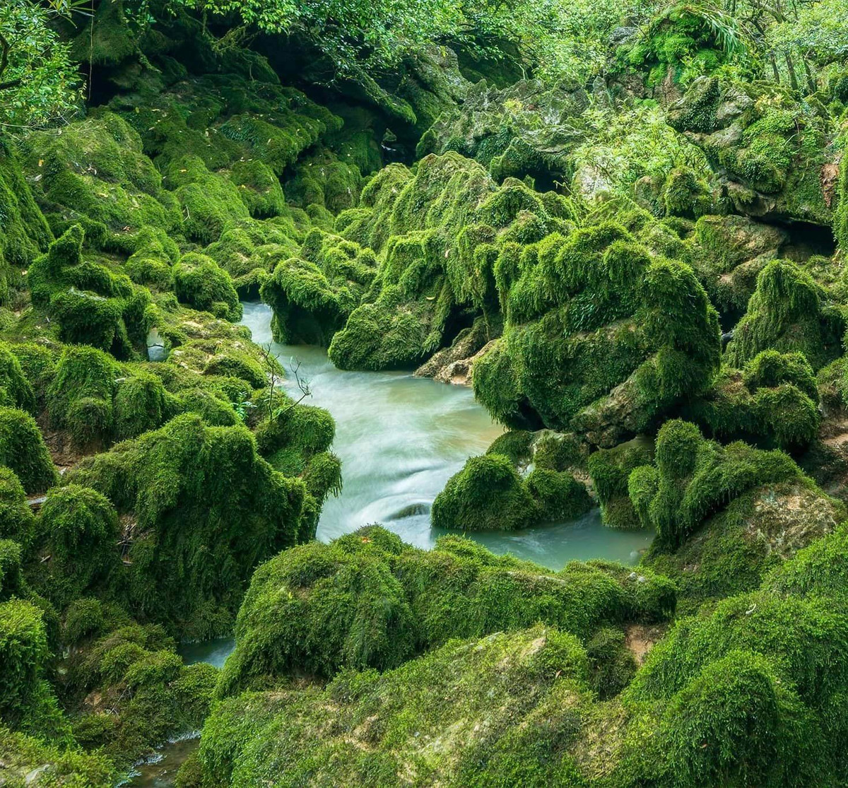 Co gi o hung Thoong, he thong hang dong tu nhien moi duoc khai thac?-Hinh-3