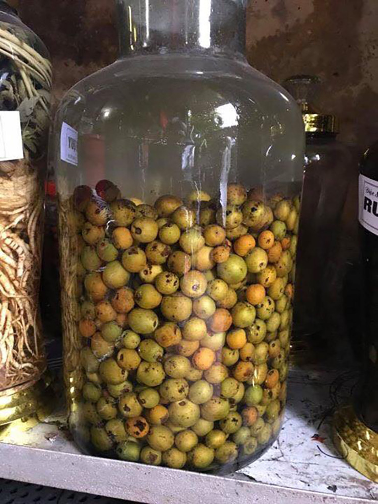 Hồng rừng được bán tại vườn có giá khoảng 10.000-15.000 đồng/kg tùy thời điểm. Còn ở thành phố hồng rừng có giá 40.000-50.000 đồng/kg.