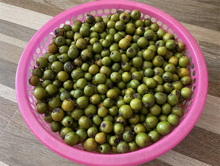 Trước đây quả hồng rừng ít ai ngó ngàng, chỉ có người dân miền núi nhặt về để ăn hoặc ngâm rượu, làm thuốc