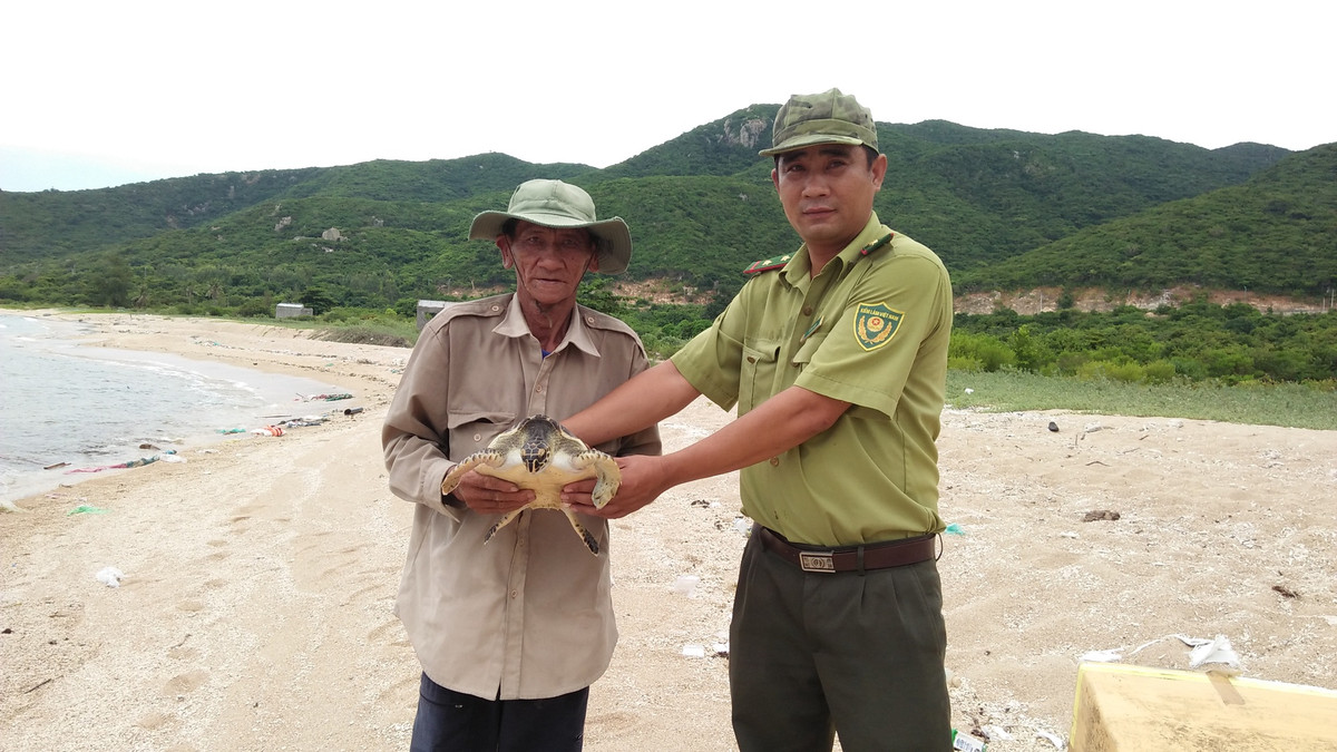 Kho bau cua Vuon Quoc gia Nui Chua-Hinh-5