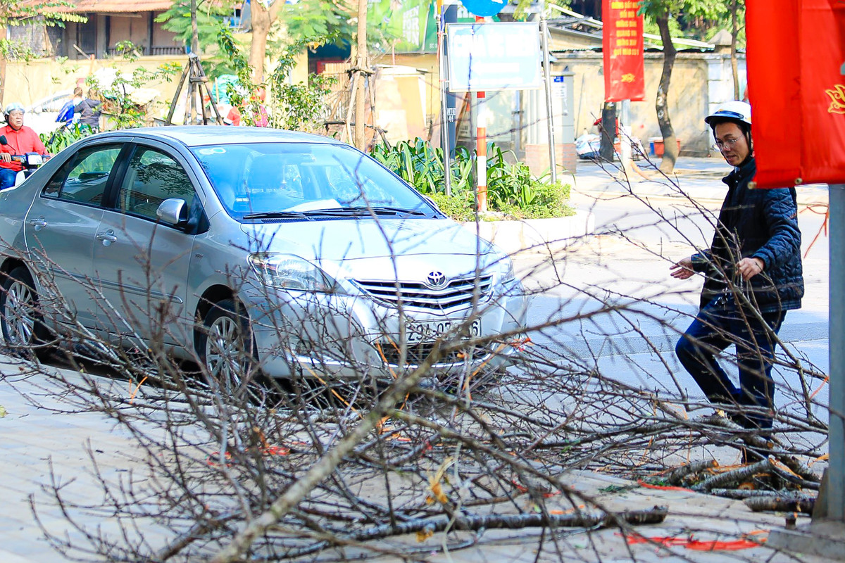 Một số người dân đi đường xót xa dừng lại lựa chọn những cành còn đẹp để đem về chơi Tết.