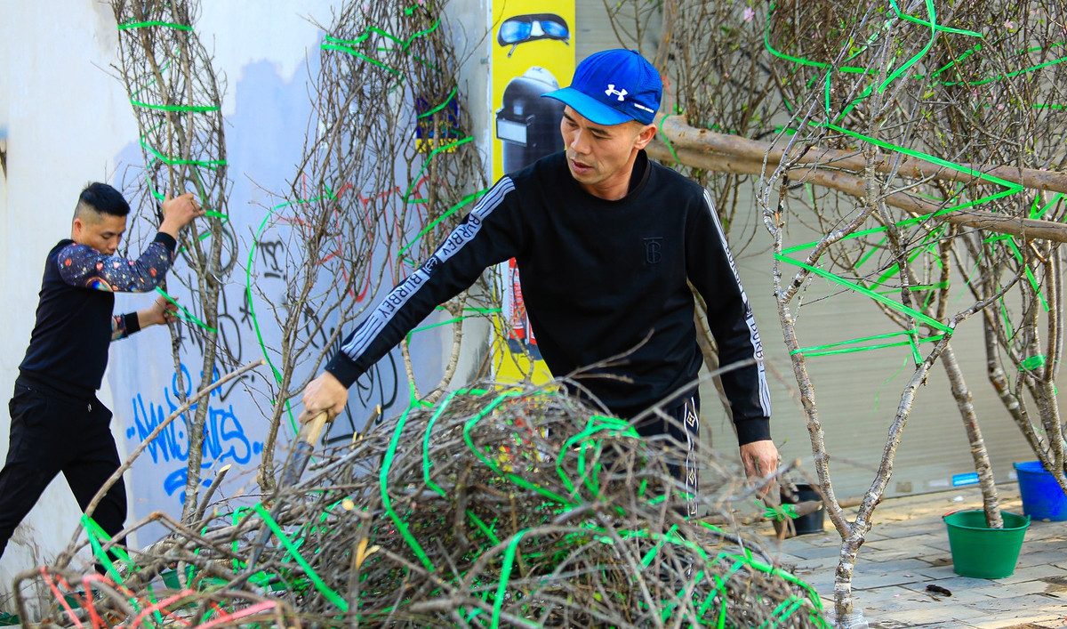 Trước tình trạng khách mua đìu hiu, nhiều tiểu thương ở đây quyết định chặt bỏ đào rồi dọn dẹp để về quê đón Tết cùng gia đình.