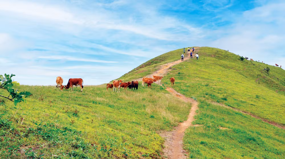 Kham pha cung duong trekking dep nhat Viet Nam, tan huong thien nhien-Hinh-3