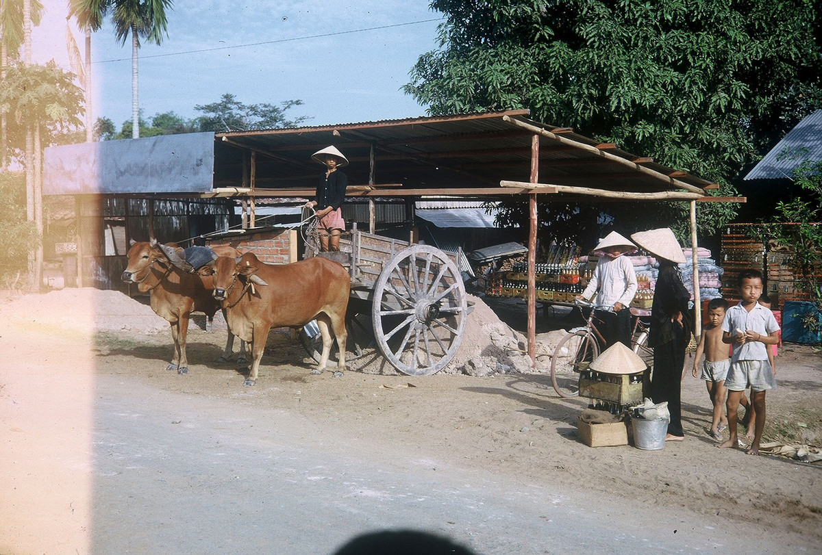 Một chiếc xe bò tại điểm tập kết vật liệu xây dựng. Ảnh: William Smith.
