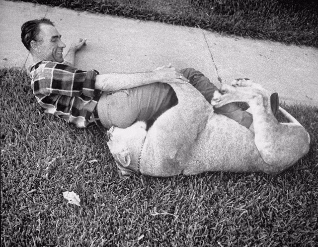 Blondie đớp vào mông chủ nhân khi chơi đùa trong sân nhà. Ảnh: Life.