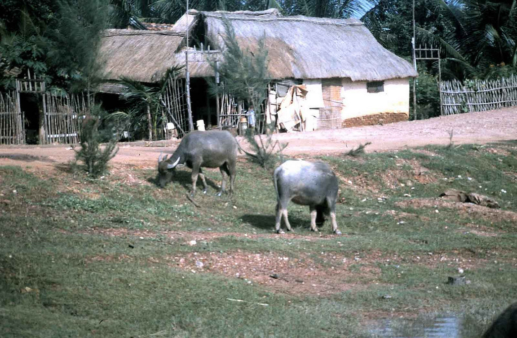 Một khu nhà ở vùng nông thôn ngoại vi Quy Nhơn. Ảnh: Warren Balish.