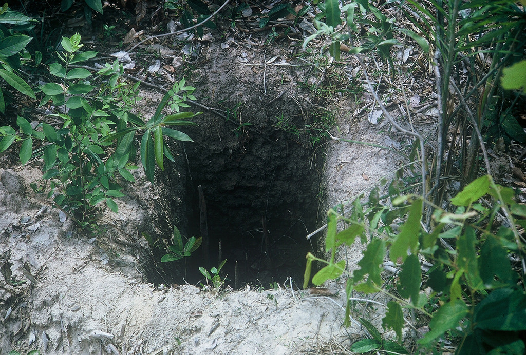 Một hố bẫy chông của quân đội Giải phóng được lính Mỹ phát hiện.