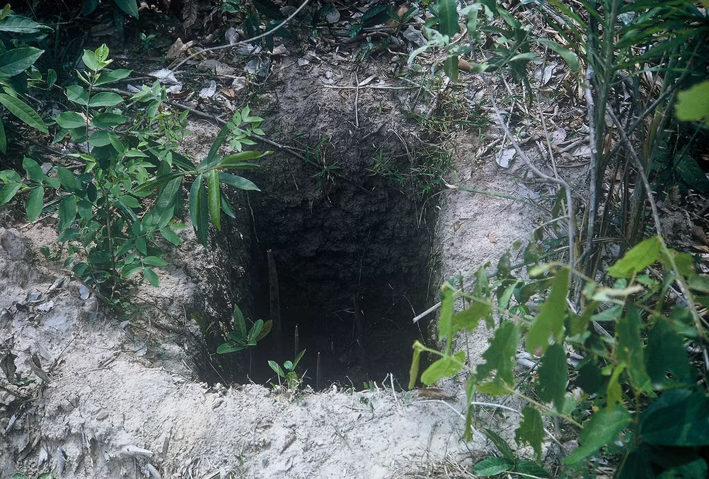 Một hố bẫy chông của quân đội Giải phóng được lính Mỹ phát hiện.