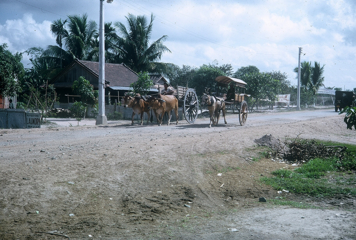 Xe bò và xe ngựa sóng đôi trên đường quốc lộ ở Củ Chi. Ảnh: William Smith.