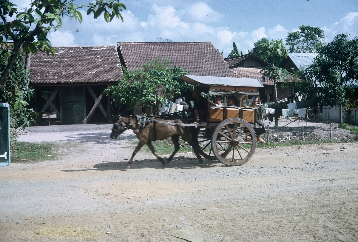 Xe ngựa là phương tiện giao thông phổ biến thời điểm này. Ảnh: William Smith.